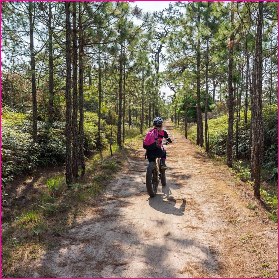Mobilhome 2Ch Climatise-Terrasse Fermee-4 Velos-Camping 4 Etoiles Les Charmettes Les Mathes Eksteriør billede